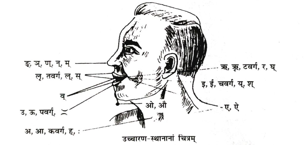 मुख के भीतर उच्चारण स्थान 